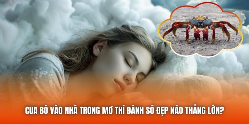 Cua bò vào nhà trong mơ thì đánh số đẹp nào thắng lớn?